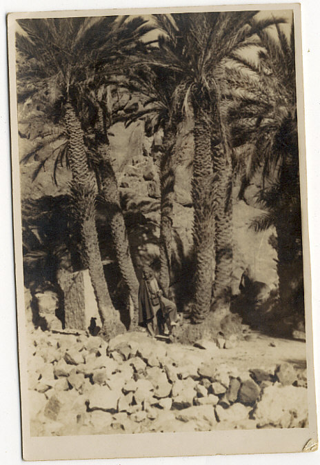 PHOTOS EN CARTES POSTALES DE MILITAIRES EN UNIFORME SEULS OU ACCOMPAGNES, - Autres & Non Classés