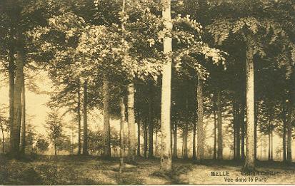 Melle Institut Caritas Vue Dans Le Parc - Melle