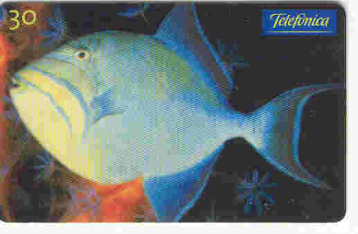 2000 Brazil 30 Unit. - Balista - Peces