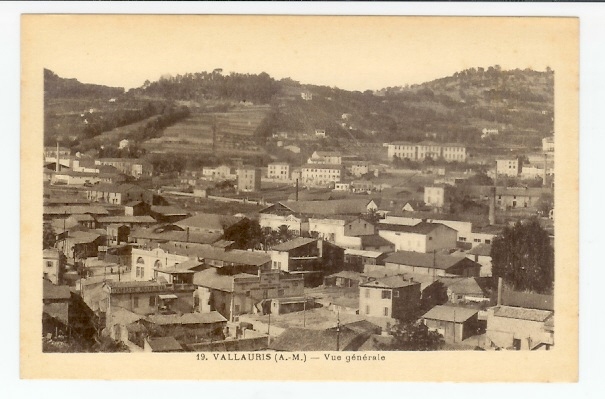 Vallauris: Vue Générale (06-1162) - Vallauris