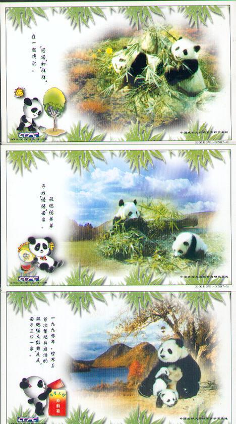Formidable Série De 7 Entiers Postaux Chinois Sur Les Pandas - Ours