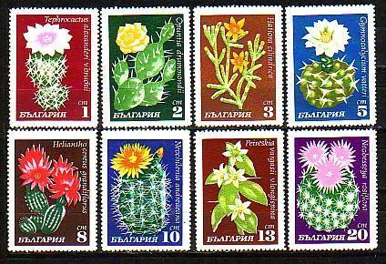BULGARIA / BULGARIE - 1970 - Cactusses - 8v ** - Cactussen
