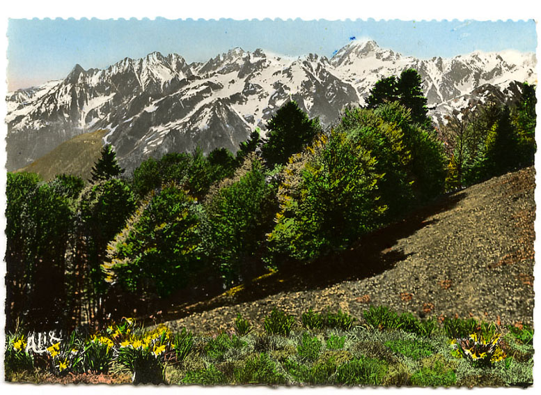 {19462} Haute Garonne Luchon Superbagnères , Vue Du Plateau De Superbagnères Cachet Les Pyrénées Super Bagnères Alix - Superbagneres