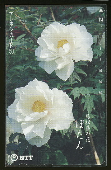 Télécard Japon FLEUR Phonecard Japan FLOWER - Fleurs