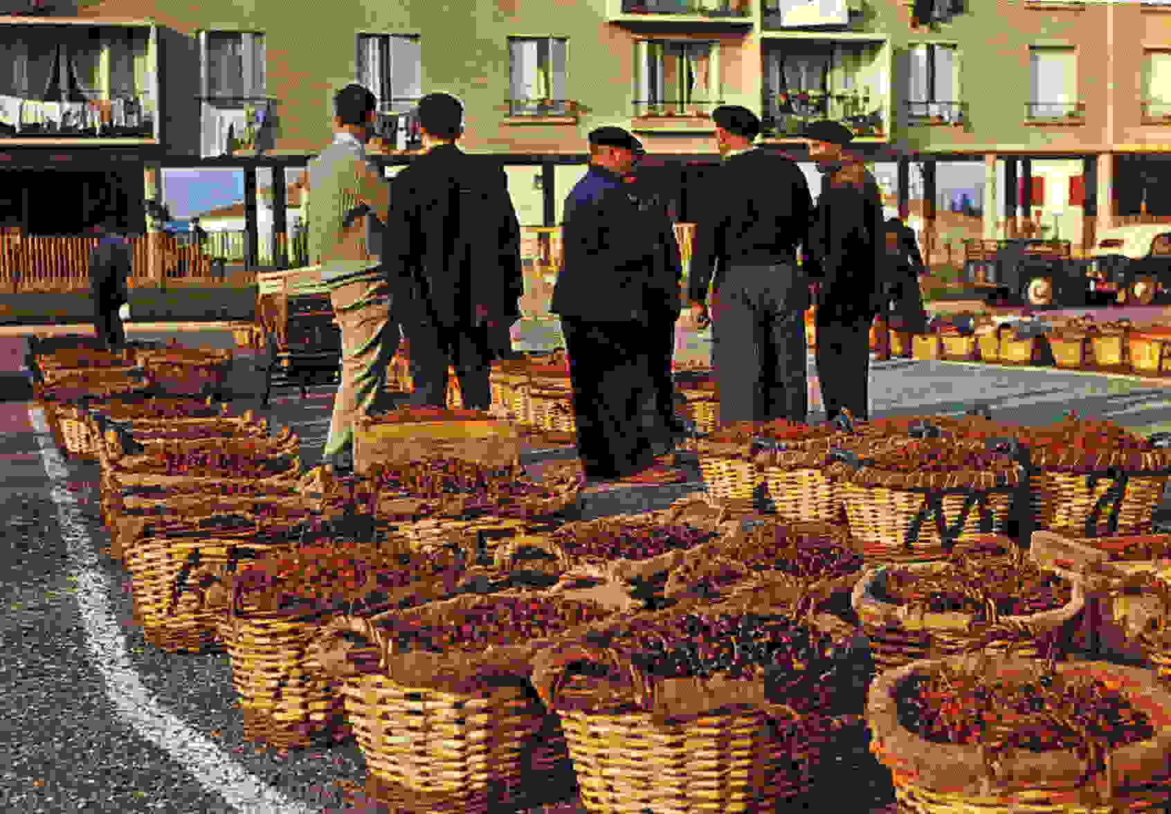 CERET - Le Marché De La Cerise - Ceret