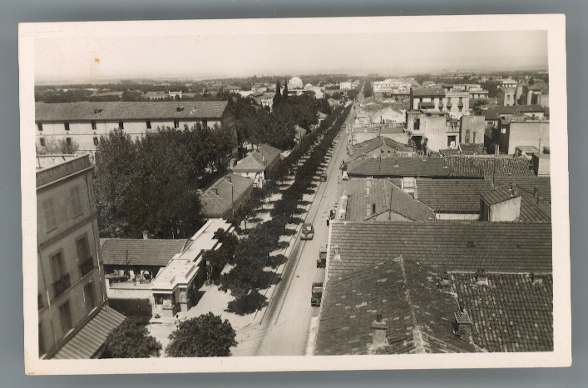 BLIDA. Vue Générale. - Blida