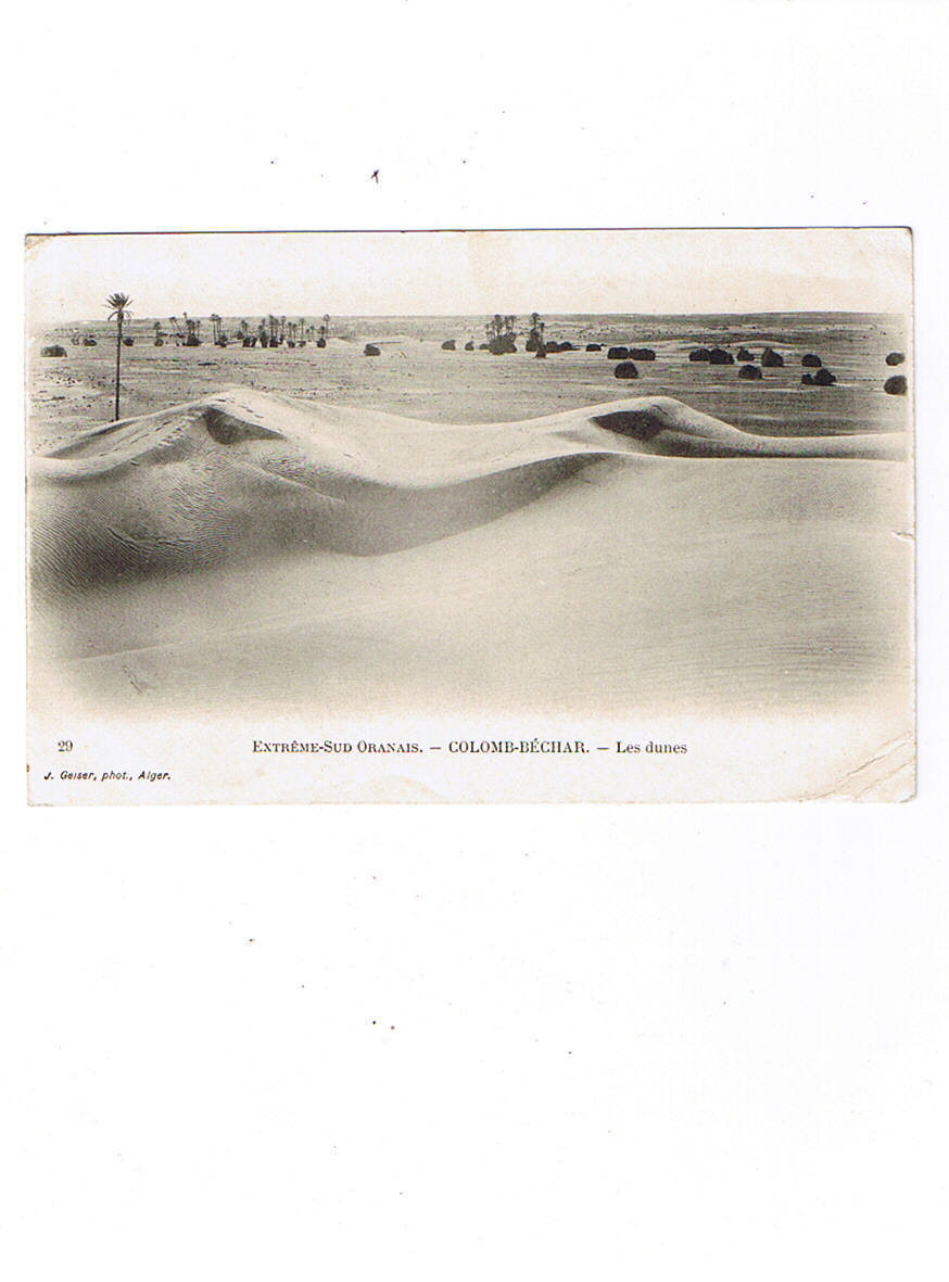 COLOMB BECHAR    29  Les Dunes   Circulée 1908 - Bechar (Colomb Béchar)