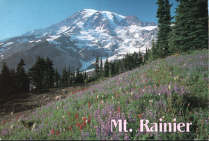 Mount Rainier National Park Washington - Sonstige & Ohne Zuordnung