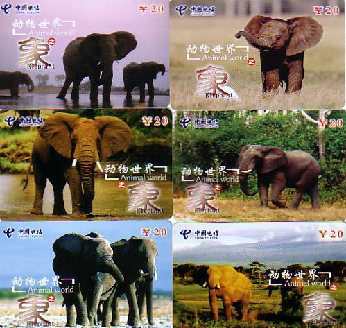 CHINE ELEPHANT SET 6 CARDS SERIE N°1 DE 6 CARTES DIFFERENTES MAGNIFIQUES - Jungle