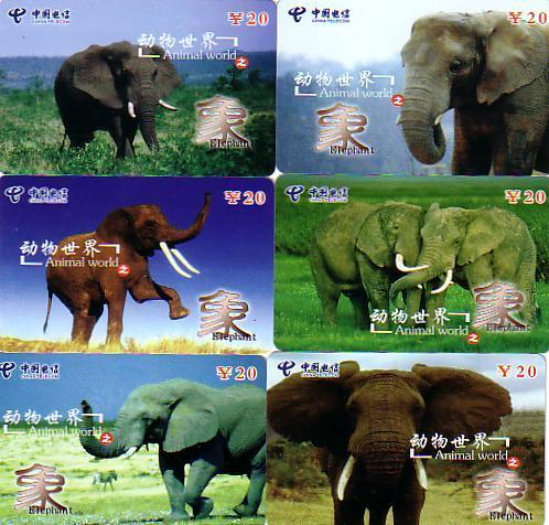 CHINE SET ELEPHANT SERIE N°2 DE 6 CARTES DIFFERENTES MAGNIFIQUES - Jungle