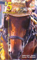 BAHAMAS CHEVAL HORSE RARE - Pferde