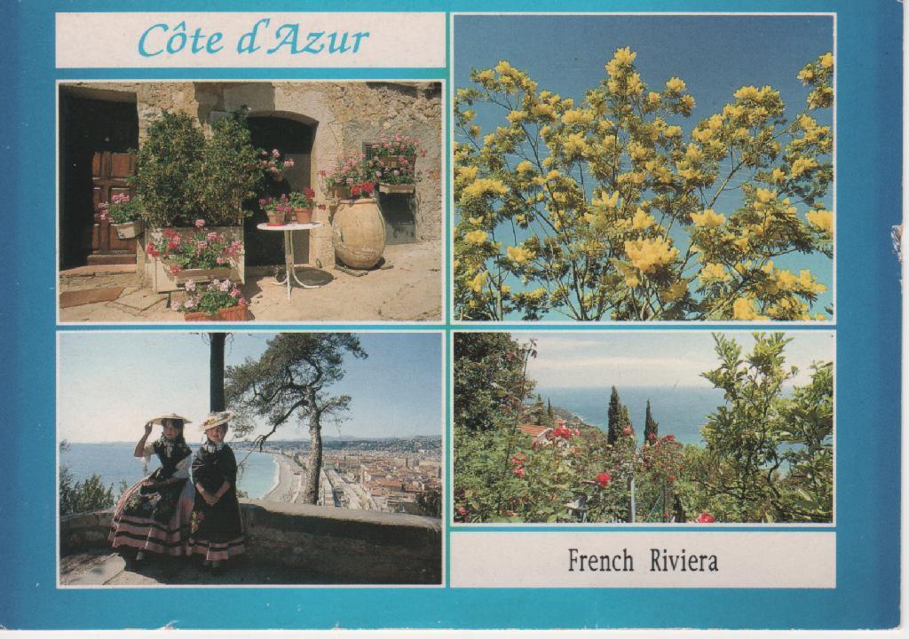 06 COTE D´AZUR French Riviéra 4 Vues Niçoises Mimosa... - Provence-Alpes-Côte D'Azur