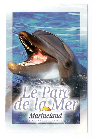 Antibes: Marineland, Dauphin (06-1344) - Dauphins