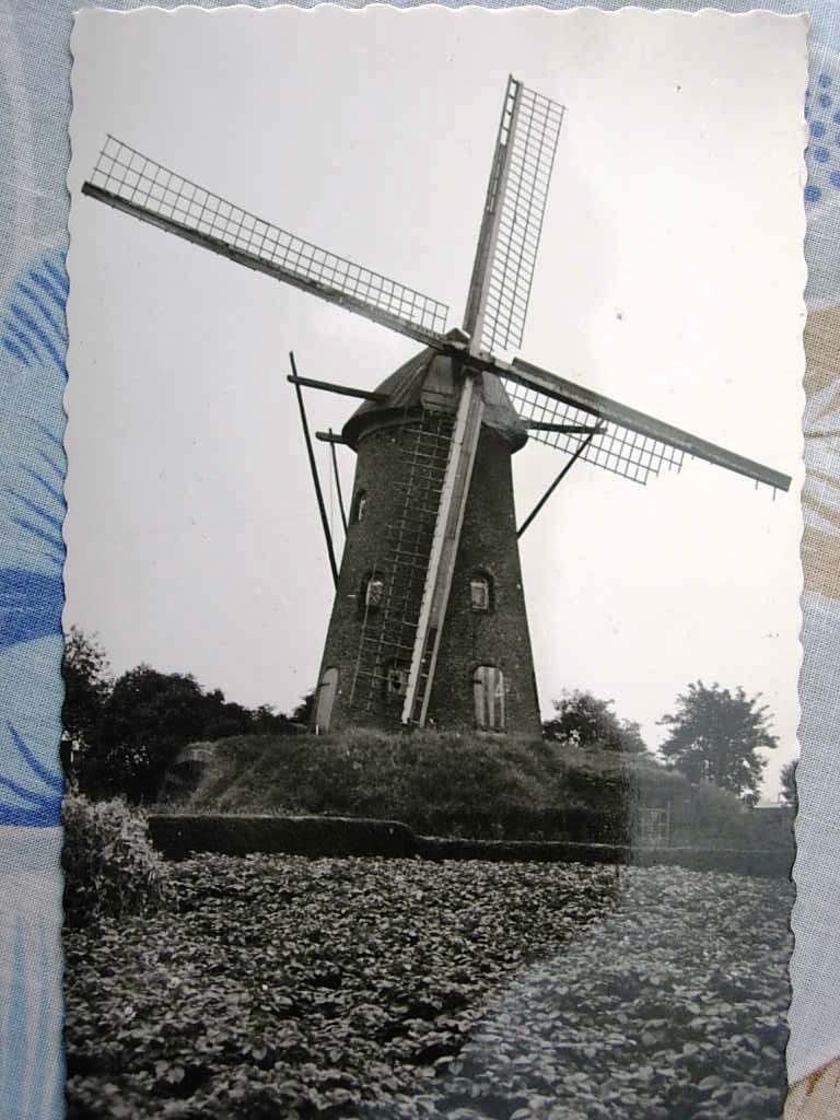 Rijkevorsel  Molen - Rijkevorsel