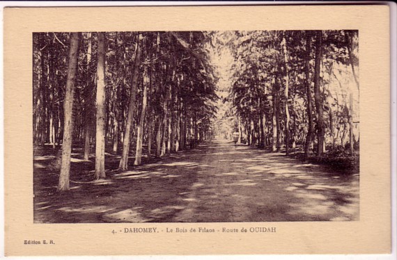 DAHOMEY ER 4 Le Bois De Filaos , Route De Ouidah - Dahomey