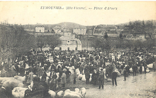 87 - HAUTE-VIENNE - EYMOUTIERS - PLACE D'ARMES - MARCHE Aux COCHONS - BELLE ANIMATION - Eymoutiers