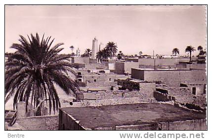 ALGERIE - Ouargla - Terrasses Indigènes - Ouargla