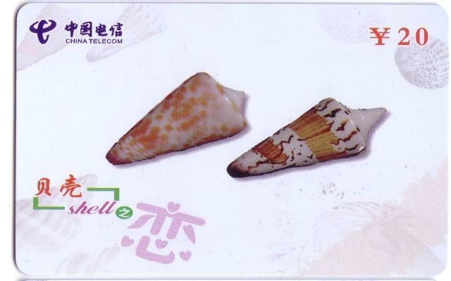 Seashells – Seemuschel - Coquille – Sea Shells – Coquilles – Muschel – Seashell – Muszle - Shell - MINT CARD No. 2 - Peces
