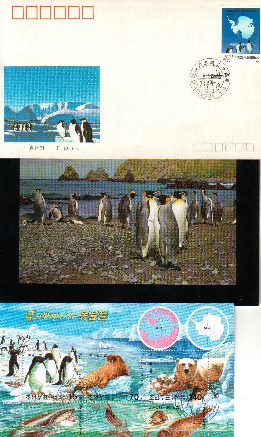 1 X Chinese Antarctic FDC + King Penguin Postcard + Mini Sheet With Polar Bear... - Andere(Zee)