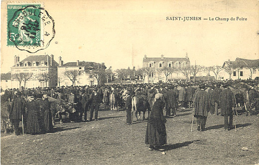 87 - HAUTE-VIENNE - ST JUNIEN - CHAMP De FOIRE - COMICE AGRICOLE - MARCHE Aux BESTIAUX - Saint Junien