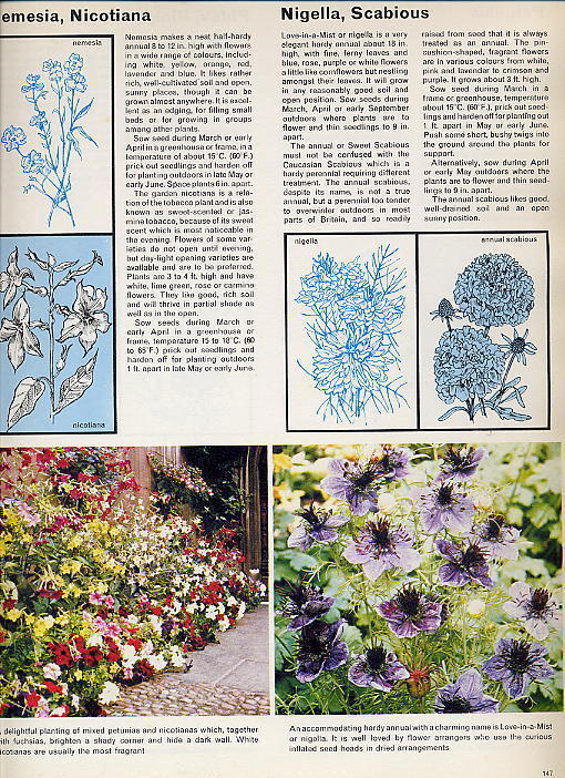 "ALL-COLOUR GARDENING BOOK" PAR ARTHUR HELLYER - - Gardening