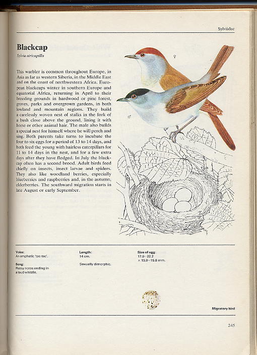 "THE ILLUSTRATED BOOK OF BIRDS" PAR DR J. FELIX, ILLUSTRATIONS PAR K. HISEK. - Pet/ Animal Care