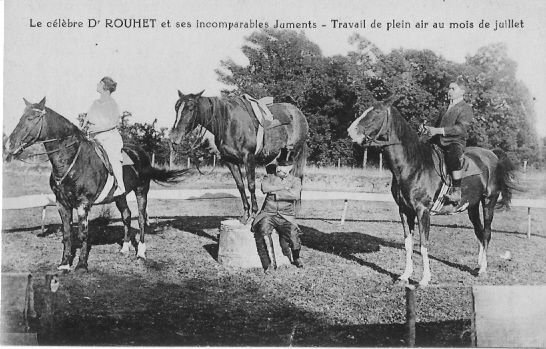 LE CELEBRE DR ROUET ET SES INCOMPARABLES JUMENTS TRAVAIL DE PLEIN AIR AU MOIS DE JUILLET - Pferde