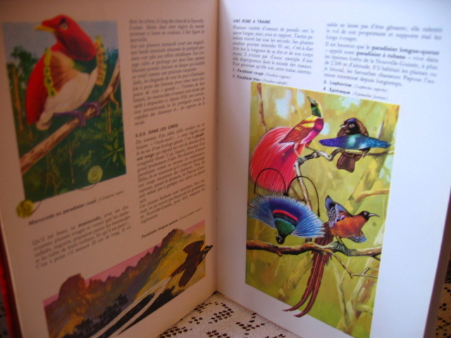 Le Monde Merveilleux Des Animaux. Dargaud, éditeur, 1967 - Enciclopedias
