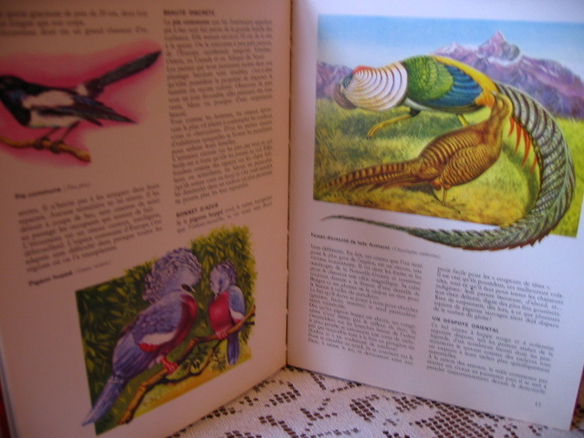 Le Monde Merveilleux Des Animaux. Dargaud, éditeur, 1967 - Encyclopaedia