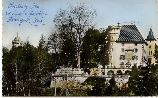 JALLIEU Le Château De Petit-Mont (cpsm) - Jallieu