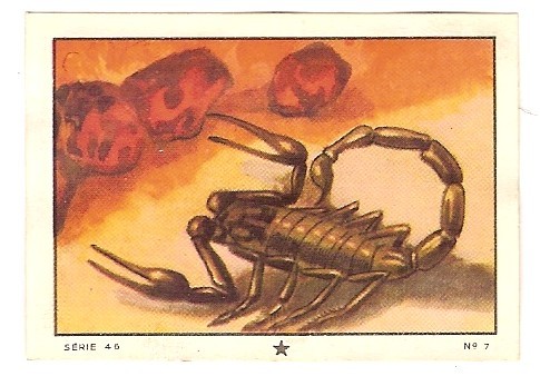 Kohler, Nestle. Serie 46 No.07 Schorpioen, Scorpion, Skorpion. - Nestlé