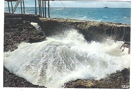 Entre SAINT-PALAIS Et La GRANDE COTE : Le Puits De Lauture; Filets De Peche ,Phare ;TB - Saint-Jean-d'Angely