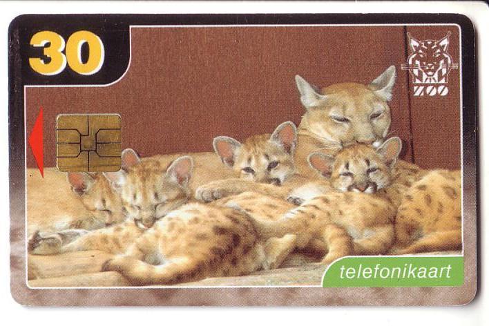 USED ESTONIA PHONECARD 1999 - ET0114 - Puma - Estland