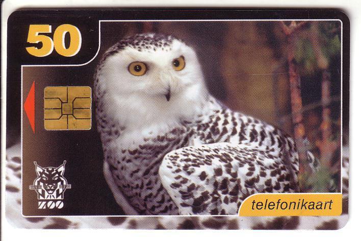 USED ESTONIA PHONECARD 1999 - ET0115 - Snowy Owl - Estonie