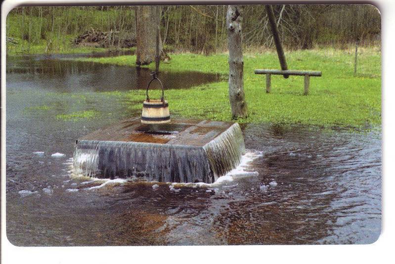 USED ESTONIA PHONECARD 2001 - ET0149 - Tuhala Witch Well - Estonia