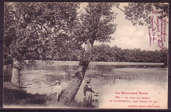 HAUTE GARONNE - Un Coin Du Bassin De St Ferreol - Saint Ferreol