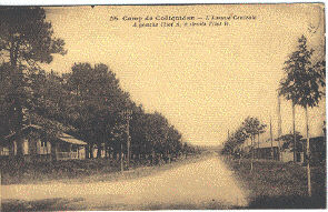 CF271-avenue Centrale Du Camp De COËTQUIDAN - Guer Coetquidan