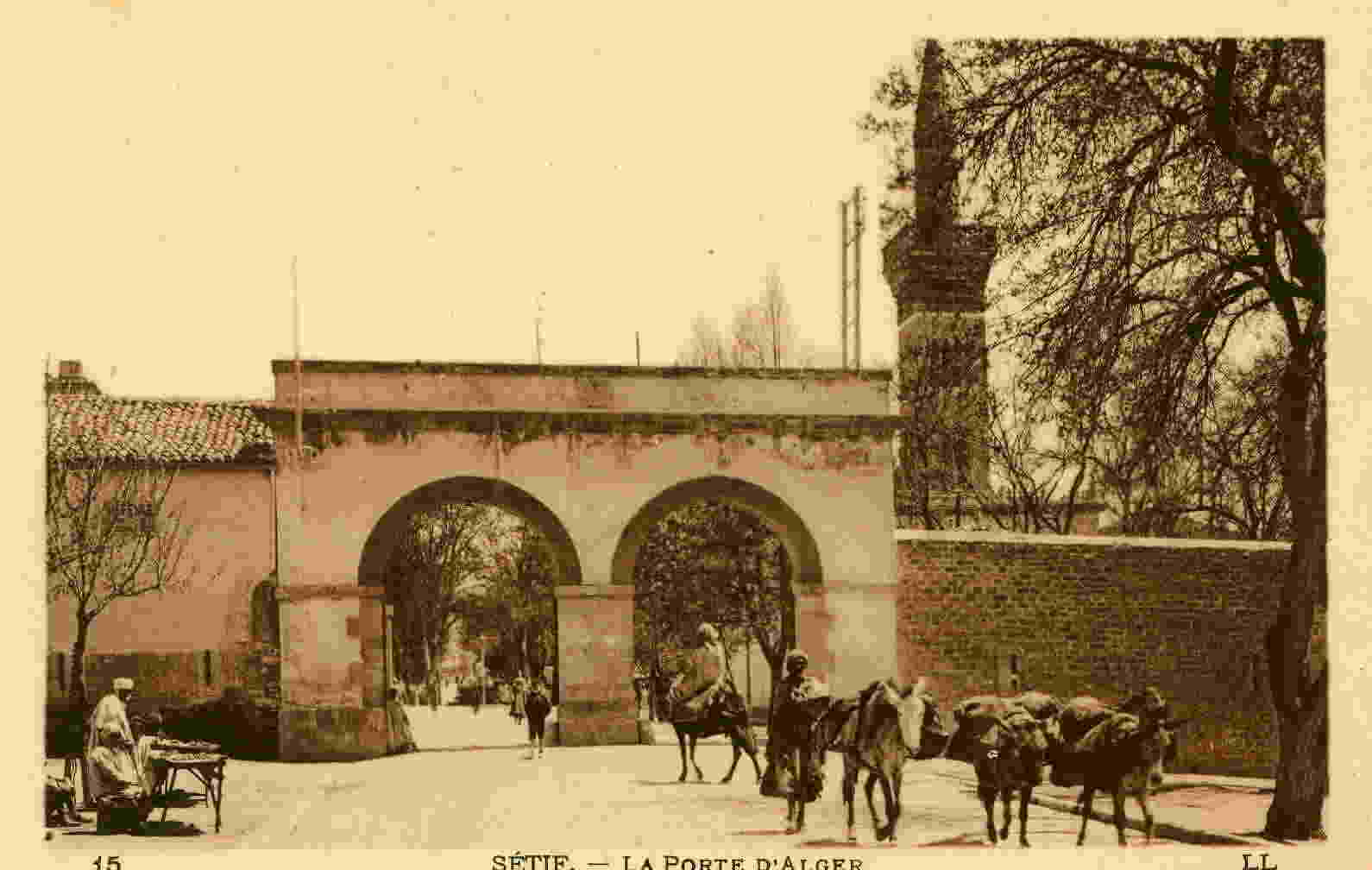 SETIF - La Porte D'Alger - Setif