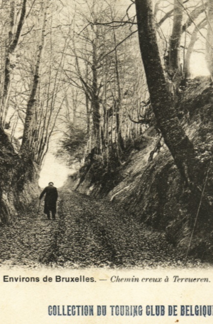 Tervueren-Les Environs De Bruxelles-Chemin Creux à Tervueren - Tervuren