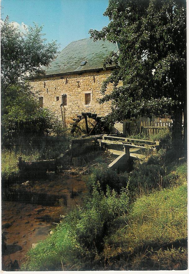 Hotton Sur Ourthe Moulin A Eaux (g612) - Hotton