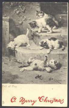 Tuck: Playful Kittens - Artist Signed C. Reichert - Tuck, Raphael