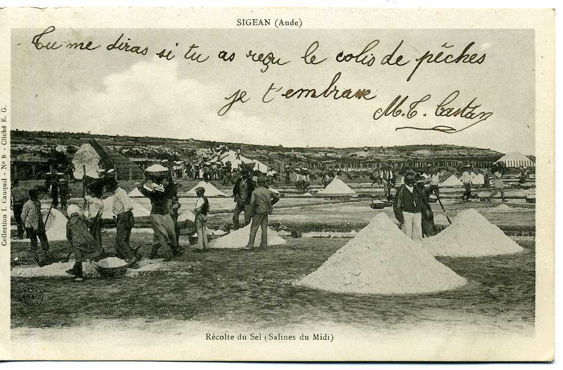 11 TOP CPA SIGEAN Récolte Du Sel (Salines Du Midi) (1903 Animée Hommes Femmes Enfants Collection Cauquil N° 8) - Sigean