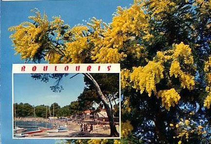 Boulouris ( Var) Plage Et Mimosa - Bormes-les-Mimosas