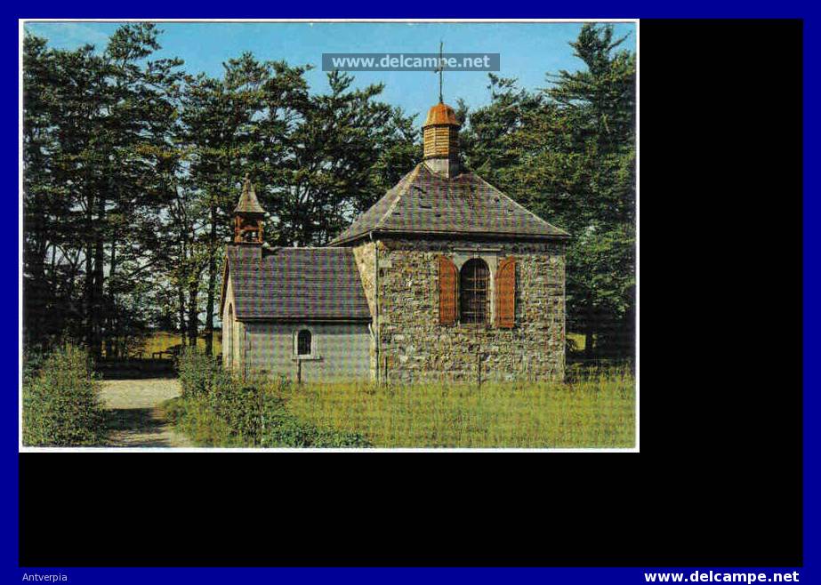 Les Hautes Fagnes (die Kapelle Fischbach)(fotokaart) - Jalhay