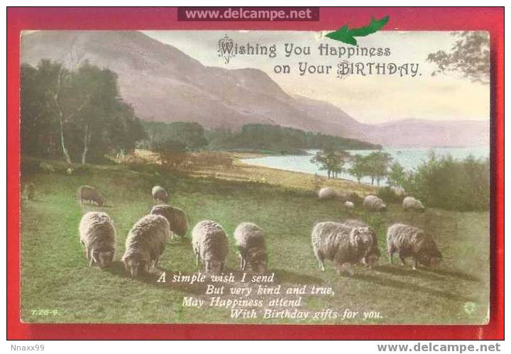 Wishing You Happiness On Your BIRTHDAY - Sheep - Fermes