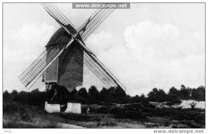 Kasterlee Standaard--molen In De Heesbergen (1670) - Kasterlee