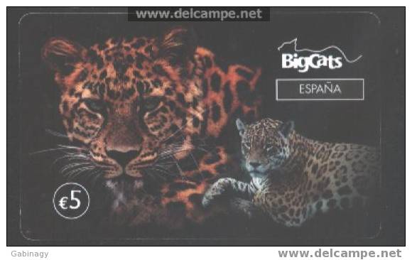 WILDCATS - SPAIN - LEOPARD - Jungle