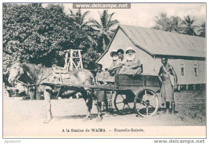 A La Station De WaÏma - Nouvelle Guinée - Papoea-Nieuw-Guinea