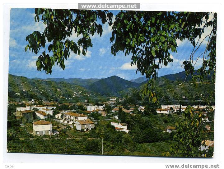 Le Vigan Des Cévennes Vue Générale - Le Vigan