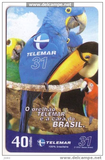 PARROT ( Super RARE Brasil Card - 12.260 Ex ) Perroquet - Papagei - Papagayo - Loro - Pappagallo - Ara - Parrots - Tucan - Brazil